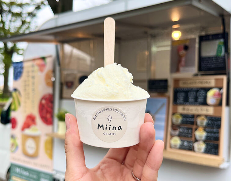 Miina gelato