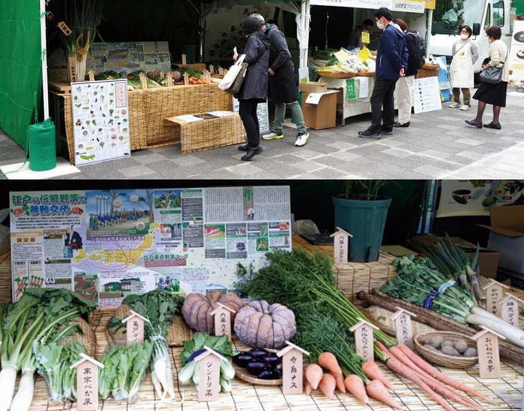 江戸東京野菜を知ろう